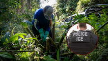 Más redadas del ICE en EEUU: esta es la inesperada isla donde se arrestan y deportan inmigrantes latinos