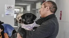Campaña veterinaria gratuita en Lima: conoce en qué distritos, fechas y especialidades este 2025