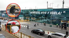 Taxistas del aeropuerto Jorge Chávez denuncian ser víctimas de reglaje por presuntos extorsionadores: "Nos afecta bastante"