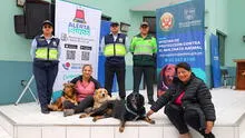 La exclusiva oficina que albergará denuncias de maltrato animal en comisaría de Santiago de Surco La exclusiva oficina que albergará denuncias de maltrato animal en comisaría de Santiago de Surco