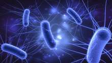 Descubren que los nanoplásticos estresan a unas bacterias produciendo más toxinas que dañarían a los humanos