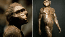 ¿Quién fue Lucy y por qué es considerada como el fósil que ha cambiado la teoría de la evolución humana?