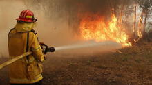 Incendios dejaron 35 fallecidos y 80.000 hectáreas de bosques y pastizales destruidos