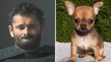 Hombre de Alabama es acusado de quemar vivo a su chihuahua porque ladraba mucho: deberá pagar fianza de US$15.000