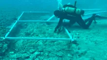 Arqueólogos encuentran una extraña 'carretera' de piedra sumergida bajo el mar de al menos 7.000 años de antigüedad
