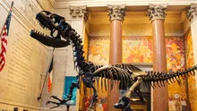 Museos Gratis en Nueva York: conoce los centros culturales que podrás visitar sin costo este verano de 2025