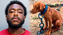 Liberan a hombre acusado de arrastrar cruelmente a su perro y lanzarlo por las escaleras: pagó una fianza de US$5.000 en Miami