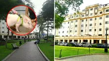 Botan a chanchito de parque en Miraflores: dueña denuncia que Betopocho fue discriminado por "ser un peligro"