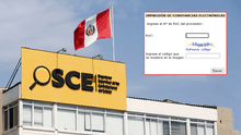 ¿Cómo solicitar e imprimir la constancia de inscripción en el Registro Nacional de Proveedores?