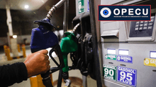 Bajan precios de gasoholes y gasolinas en Petroperú y Repsol, pero sube el diésel vehicular y el GLP no varía