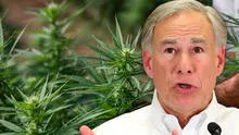 En manos de Greg Abbott: proyecto de ley que prohíbe el THC espera firma del gobernador de Texas