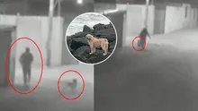 Acusan a pareja por estrangular a perrita en su vivienda en Tacna