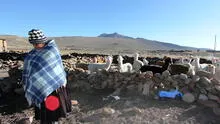 Heladas azotan Puno: Senamhi alerta sobre próximas temperaturas de congelamiento de hasta menos 20 grados