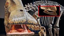 El 'Nigersaurus', el asombroso dinosaurio que tenía 500 dientes afilados como cuchillas y los remplazaba cada 14 días