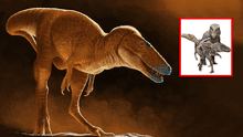 El ‘Príncipe Dragón’, un nuevo dinosaurio descubierto en Mongolia, según estudio científico: es pariente del T. rex