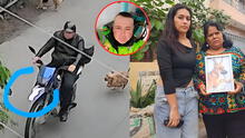 Policía en retiro habría envenenado a una decena de perros en VMT: "Todo está en las cámaras" Policía en retiro habría envenenado a una decena de perros en VMT: "Todo está en las cámaras"