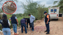 Cientos de tubos con muestras de sangre arrojados en vía pública causan alarma en Piura