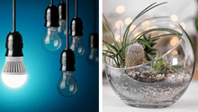 ¿Qué hacer con los focos quemados? Recíclalos y crea decoraciones ecoamigables para tu hogar