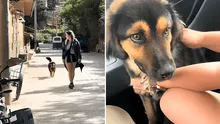 Una mochilera británica salvó la vida de un perro en Perú después de recaudar más de US$20.000: ''Vi cómo lo pisoteaban'' Una mochilera británica salvó la vida de un perro en Perú después de recaudar más de US$20.000: ''Vi cómo lo pisoteaban''