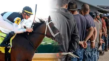 Redadas del ICE en hipódromos de EEUU: arrestan a 84 inmigrantes que trabajaban cuidando caballos de carrera