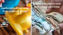Peruano guarda su dinero en una alcancía, pero descubre que ratones se comieron sus billetes de S/100: “Mis ahorros, mi dinero” Peruano guarda su dinero en una alcancía, pero descubre que ratones se comieron sus billetes de S/100: “Mis ahorros, mi dinero”