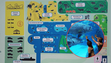 ¡Más de 2.000 especies marinas! Conoce el primer acuario temático de Perú