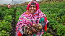 50 frases por el Día del Campesino 2025: los mejores saludos y mensajes para el 24 de junio
