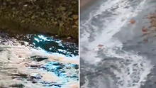 Detectan espuma blanca en el río Rímac en casi 6 km desde Cercado de Lima, pero Sedapal descarta contaminación Detectan espuma blanca en el río Rímac en casi 6 km desde Cercado de Lima, pero Sedapal descarta contaminación