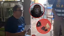 Cae español que líderaría red internacional de tráfico de animales silvestres: cazaba en comunidades nativas de la Amazonía peruana