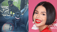 Ángela Aguilar lanza fuerte mensaje en sus redes a críticos con canción de Valentín Elizalde: "Siguen ladrando los perros" Ángela Aguilar lanza fuerte mensaje en sus redes a críticos con canción de Valentín Elizalde: "Siguen ladrando los perros"