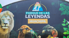 Zoológico Huachipa: conoce los precios y quiénes tendrán pase libre