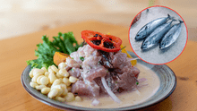 Día del Ceviche: descubre cómo el ceviche con pescado azul mejora la nutrición sin perder su esencia Día del Ceviche: descubre cómo el ceviche con pescado azul mejora la nutrición sin perder su esencia