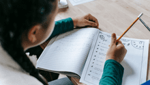 ¿Cuáles son los cursos obligatorios en educación primaria en el Perú?
