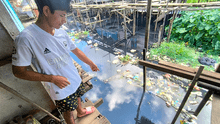 ¡Tragedia en Iquitos! bebé de 6 meses muere tras caer a zona inundable