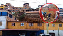 Enorme roca cae sobre casa en Chorrillos: familia se salva de morir, pero lo pierde todo
