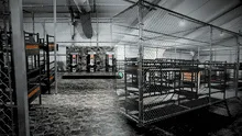 Así es 'Alligator Alcatraz', la nueva cárcel para migrantes que fue construida a 60 km de Miami: no hay rutas de escape Así es 'Alligator Alcatraz', la nueva cárcel para migrantes que fue construida a 60 km de Miami: no hay rutas de escape