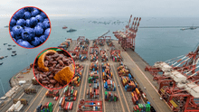 Exportaciones peruanas a Estados Unidos suben 18% pese a golpe arancelario