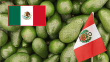 Productores mexicanos se muestran preocupados por la caída del aguacate en EE. UU. y la posición de la palta peruana en Europa: “Llega hasta España”