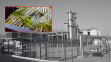 Etanol peruano busca unir agroindustria y minería para impulsar transición energética