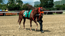 Resultados del 5y6 de hoy en el Hipódromo La Rinconada, 6 de julio: caballos ganadores y órdenes de llegada de todas las carreras