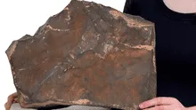 Un trozo de la historia de Marte y con gran valor científico está a punto de venderse por US$ 4 millones