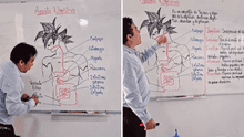Profesor dibuja a personaje de Dragon Ball para enseñar el sistema digestivo y redes estallan: "Están viendo de dónde se genera el ki"