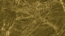 La obsesión de los nazca por representar animales no solo se encuentra en sus famosas líneas