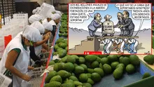 Beneficios de la Ley Chlimper 2.0: Carlincatura expone cómo las agroexportadoras celebran mientras el Estado pierde millones de soles