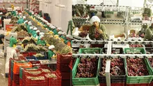 Agroexportaciones regionales rompen récord: suman US$3.248 millones y los orgánicos pisan fuerte