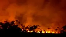 Incendio forestal de gran magnitud arrasa áreas de bosque en Manantay, Pucallpa: humareda llegaría a la ciudad