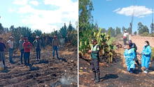 Tragedia en Ayacucho: adulto mayor de 90 años muere calcinado al intentar proteger su chacra de incendio forestal