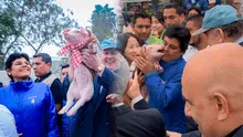 'Porky Jr.', el cerdito de López Aliaga, mordió a la congresista Norma Yarrow durante la presentación de trenes