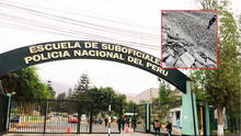 Cadete de la PNP muere tras ser impactado por una roca en Escuela de Suboficiales en Puente Piedra