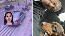 Conductor atropella a paseadora de mascotas en Miraflores: víctima se encuentra grave en UCI